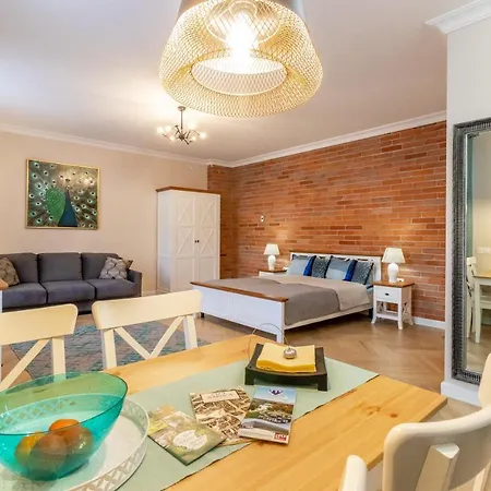 Ultracentral Oldtown Apartment Cluj-Napoca
